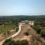 Kefalonia Stone - Petros Kefalonica * Trapezaki (Kefalonia)
